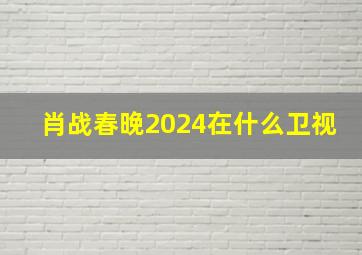 肖战春晚2024在什么卫视