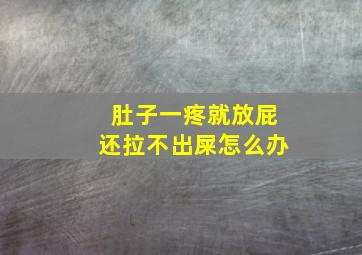 肚子一疼就放屁还拉不出屎怎么办