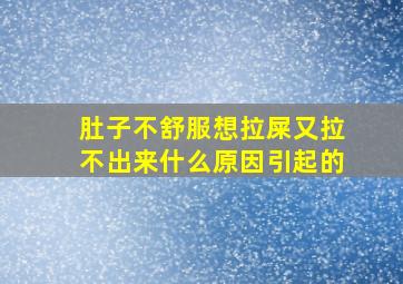 肚子不舒服想拉屎又拉不出来什么原因引起的