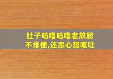 肚子咕噜咕噜老放屁不排便,还恶心想呕吐