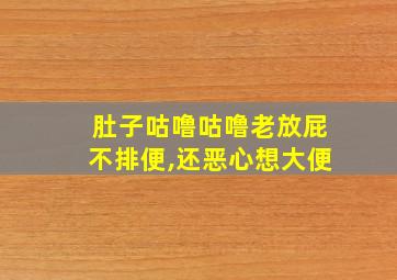 肚子咕噜咕噜老放屁不排便,还恶心想大便