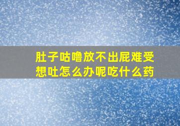 肚子咕噜放不出屁难受想吐怎么办呢吃什么药