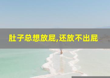 肚子总想放屁,还放不出屁