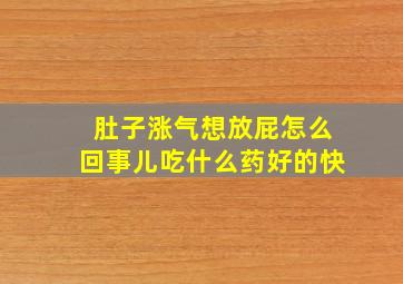 肚子涨气想放屁怎么回事儿吃什么药好的快