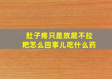 肚子疼只是放屁不拉粑怎么回事儿吃什么药