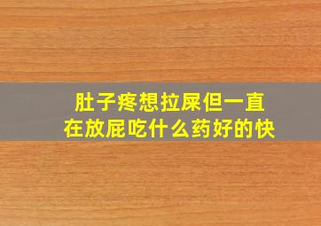 肚子疼想拉屎但一直在放屁吃什么药好的快