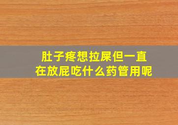 肚子疼想拉屎但一直在放屁吃什么药管用呢