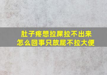 肚子疼想拉屎拉不出来怎么回事只放屁不拉大便