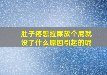 肚子疼想拉屎放个屁就没了什么原因引起的呢