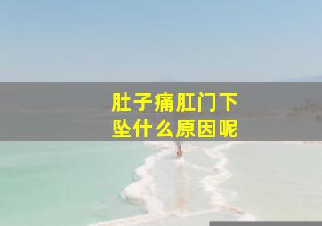 肚子痛肛门下坠什么原因呢