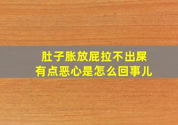 肚子胀放屁拉不出屎有点恶心是怎么回事儿