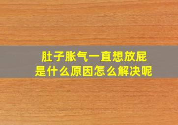 肚子胀气一直想放屁是什么原因怎么解决呢