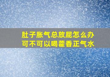 肚子胀气总放屁怎么办可不可以喝藿香正气水