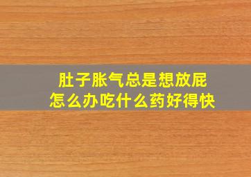 肚子胀气总是想放屁怎么办吃什么药好得快