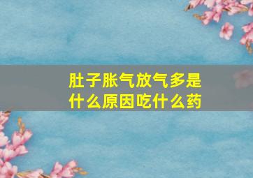 肚子胀气放气多是什么原因吃什么药