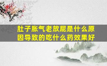 肚子胀气老放屁是什么原因导致的吃什么药效果好