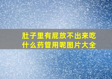 肚子里有屁放不出来吃什么药管用呢图片大全