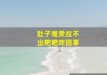 肚子难受拉不出粑粑咋回事