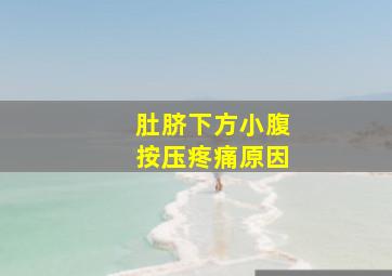 肚脐下方小腹按压疼痛原因