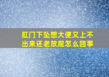 肛门下坠想大便又上不出来还老放屁怎么回事