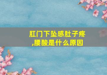 肛门下坠感肚子疼,腰酸是什么原因