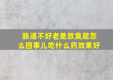 肠道不好老是放臭屁怎么回事儿吃什么药效果好