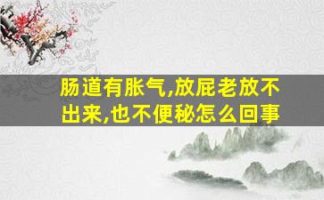 肠道有胀气,放屁老放不出来,也不便秘怎么回事