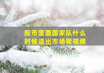 股市里面国家队什么时候退出市场呢视频