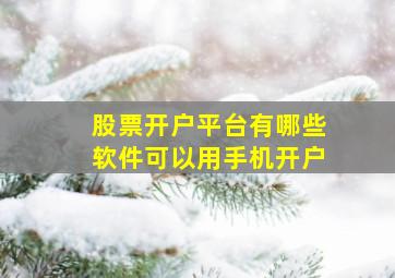 股票开户平台有哪些软件可以用手机开户