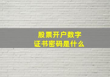 股票开户数字证书密码是什么