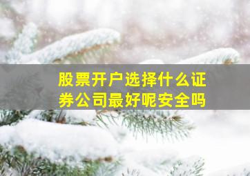 股票开户选择什么证券公司最好呢安全吗