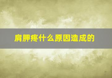 肩胛疼什么原因造成的