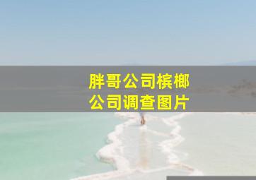 胖哥公司槟榔公司调查图片