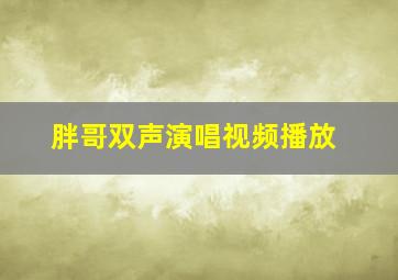 胖哥双声演唱视频播放