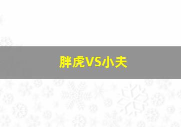 胖虎VS小夫