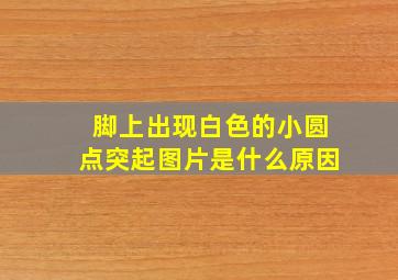 脚上出现白色的小圆点突起图片是什么原因