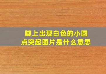 脚上出现白色的小圆点突起图片是什么意思