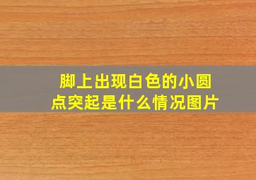 脚上出现白色的小圆点突起是什么情况图片