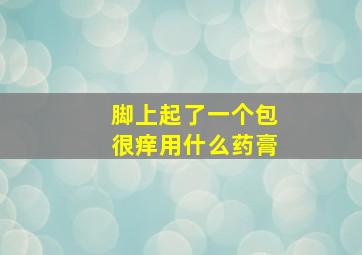 脚上起了一个包很痒用什么药膏