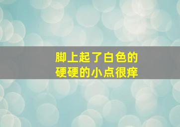 脚上起了白色的硬硬的小点很痒