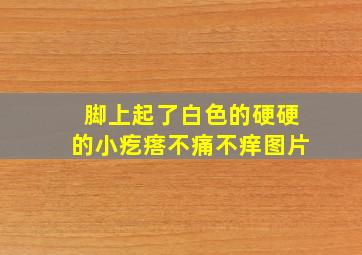 脚上起了白色的硬硬的小疙瘩不痛不痒图片