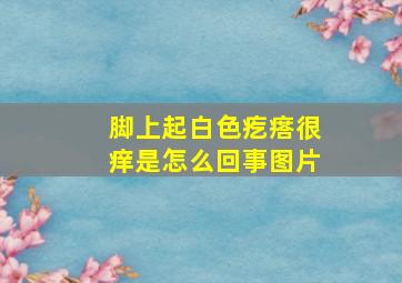 脚上起白色疙瘩很痒是怎么回事图片