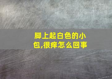 脚上起白色的小包,很痒怎么回事