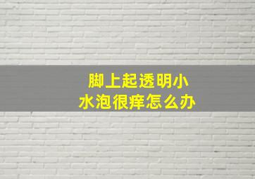 脚上起透明小水泡很痒怎么办