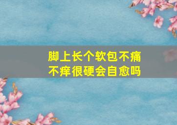 脚上长个软包不痛不痒很硬会自愈吗