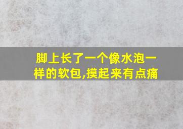 脚上长了一个像水泡一样的软包,摸起来有点痛