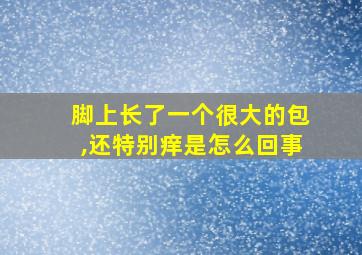 脚上长了一个很大的包,还特别痒是怎么回事