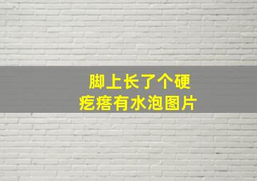 脚上长了个硬疙瘩有水泡图片