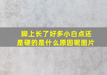 脚上长了好多小白点还是硬的是什么原因呢图片