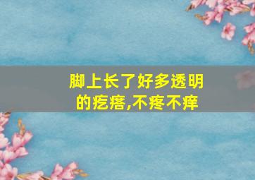 脚上长了好多透明的疙瘩,不疼不痒